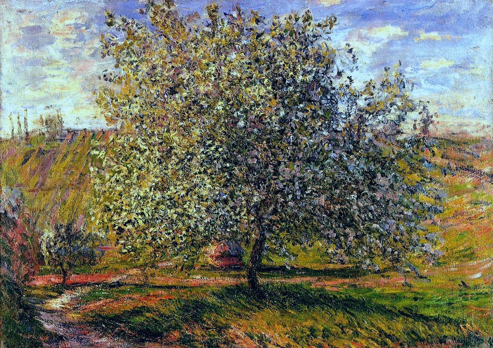 Tree in Flower near Vetheuil by Claude Monet