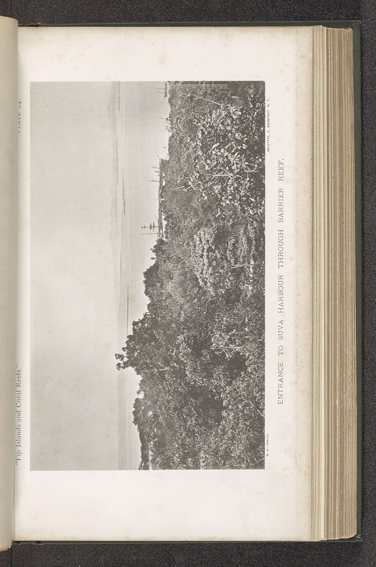 Gezicht op de haven van Suva vanaf een barrièrerif by Maximilian Agassiz