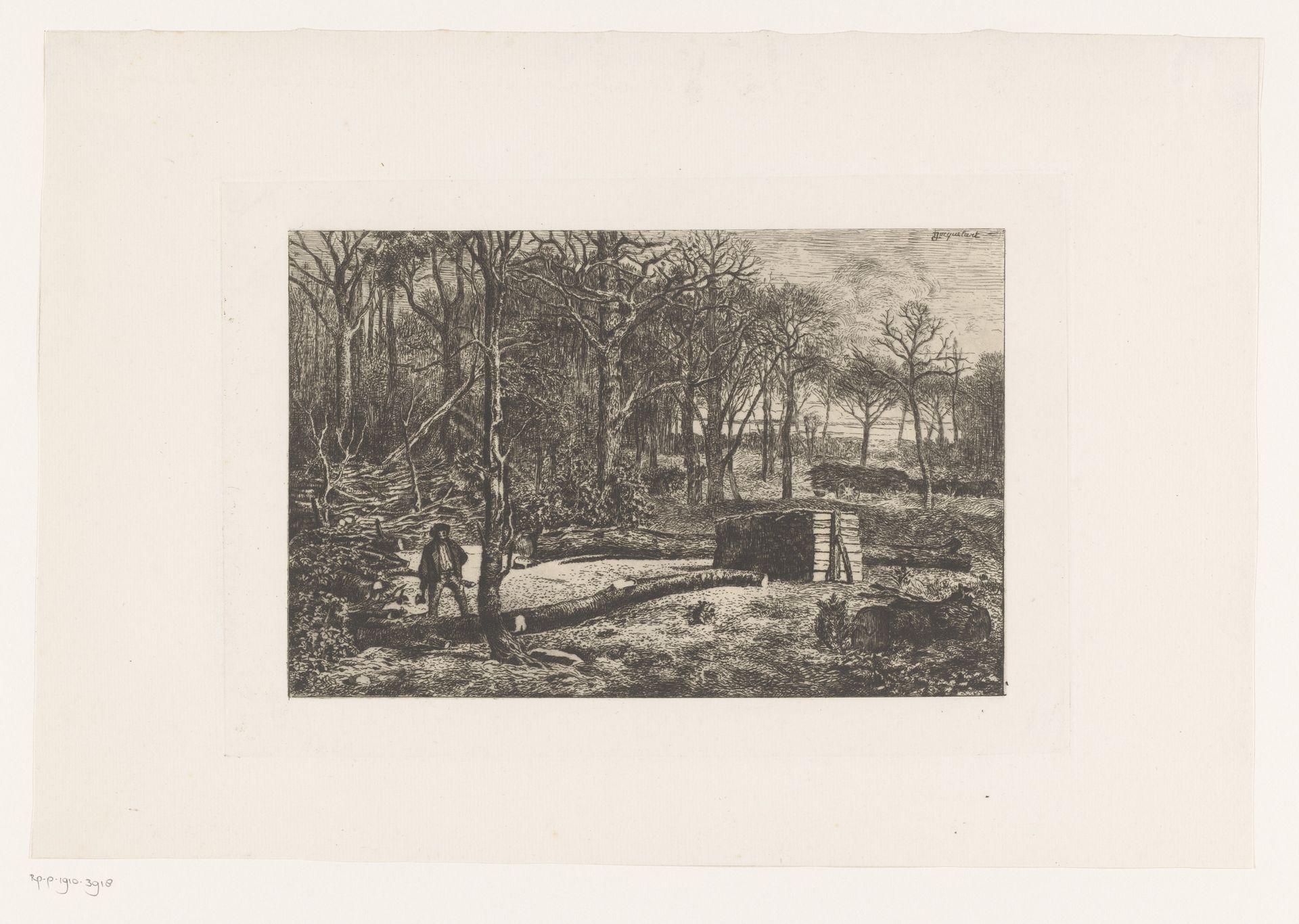 Houthakker aan het werk in het bos by Lambert Jacquelart