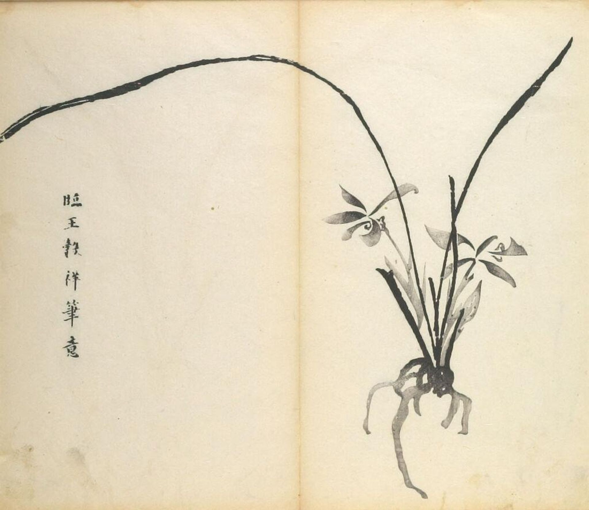 Orchids -- Illustration from the Ten Bamboo Studio Manual of Calligraphy and Painting (Shizhuzhai shuhua pu) by Hu Zhengyan