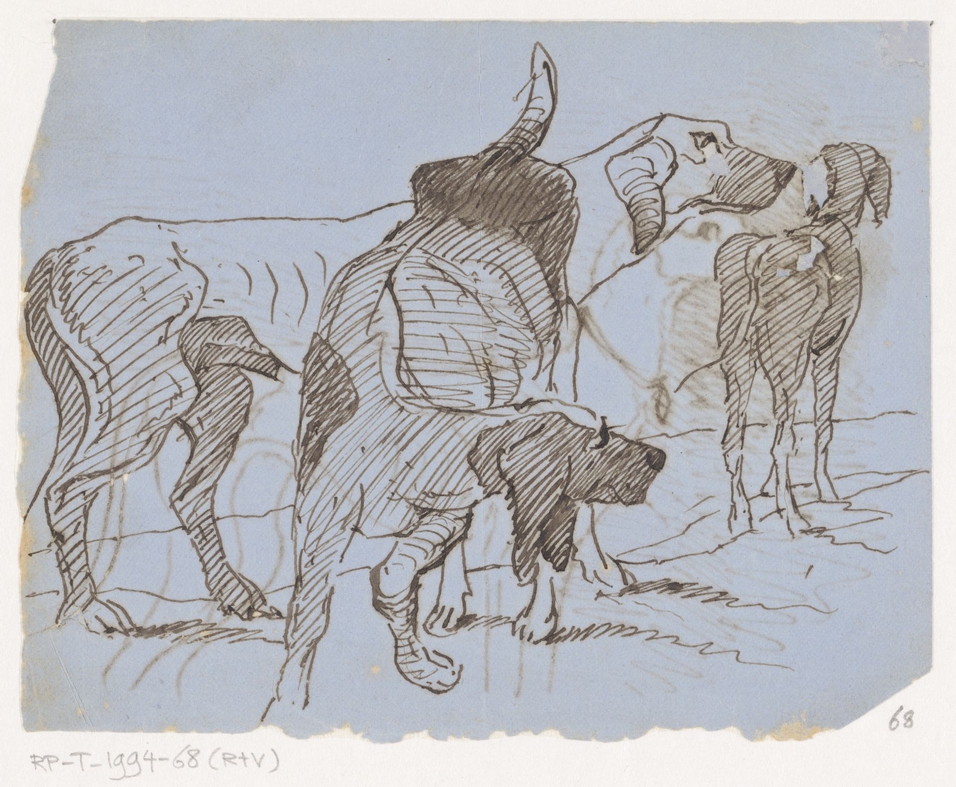 Drie honden by Johannes Tavenraat