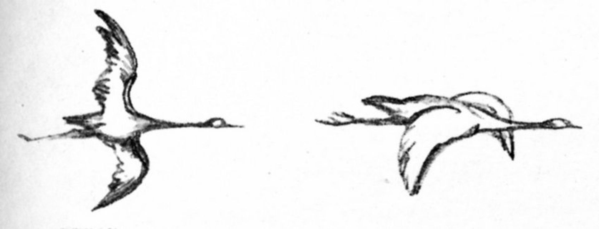 Heggren by Theodor Severin Kittelsen
