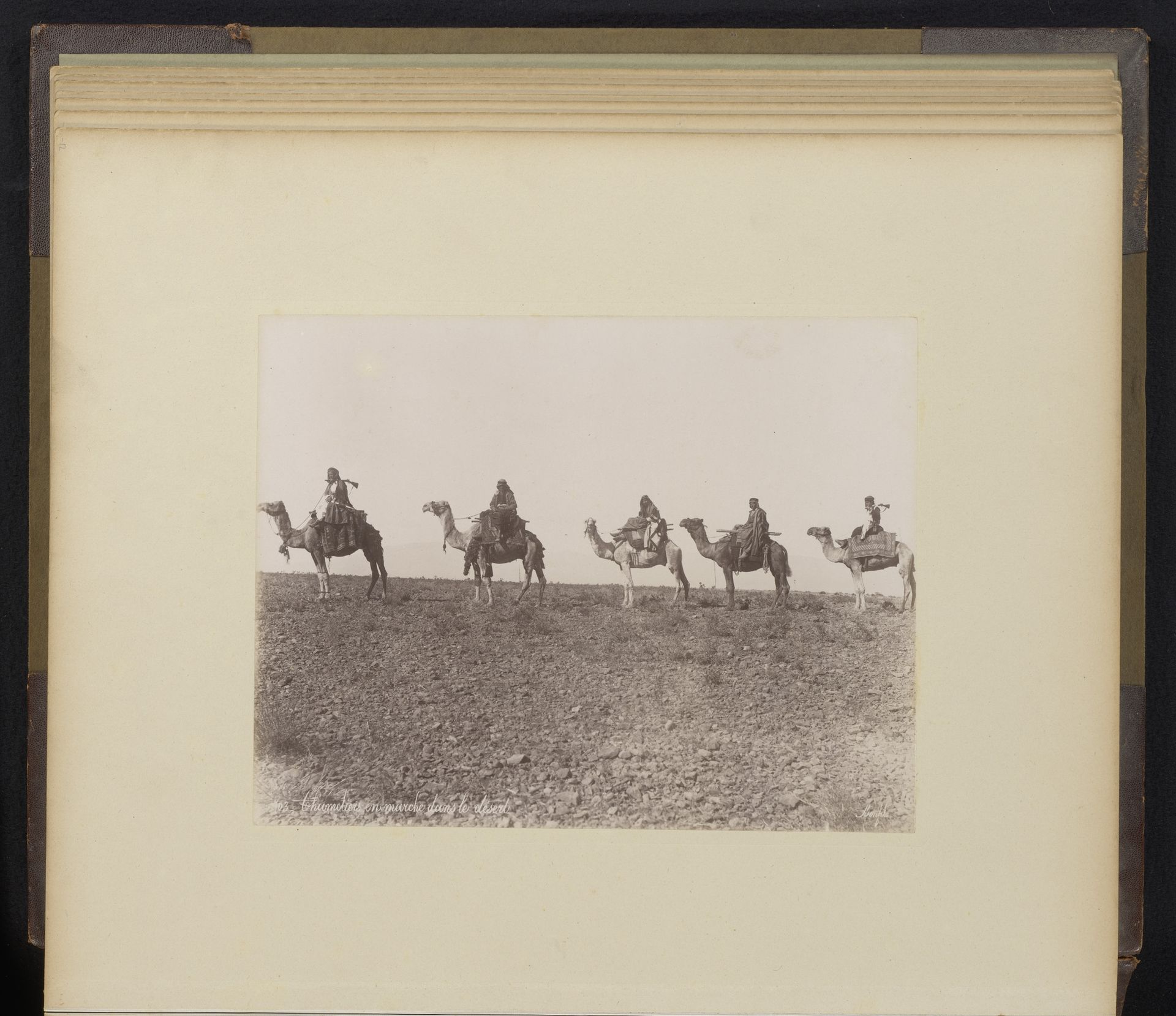 Mannen op dromedarissen in de woestijn by Félix Bonfils