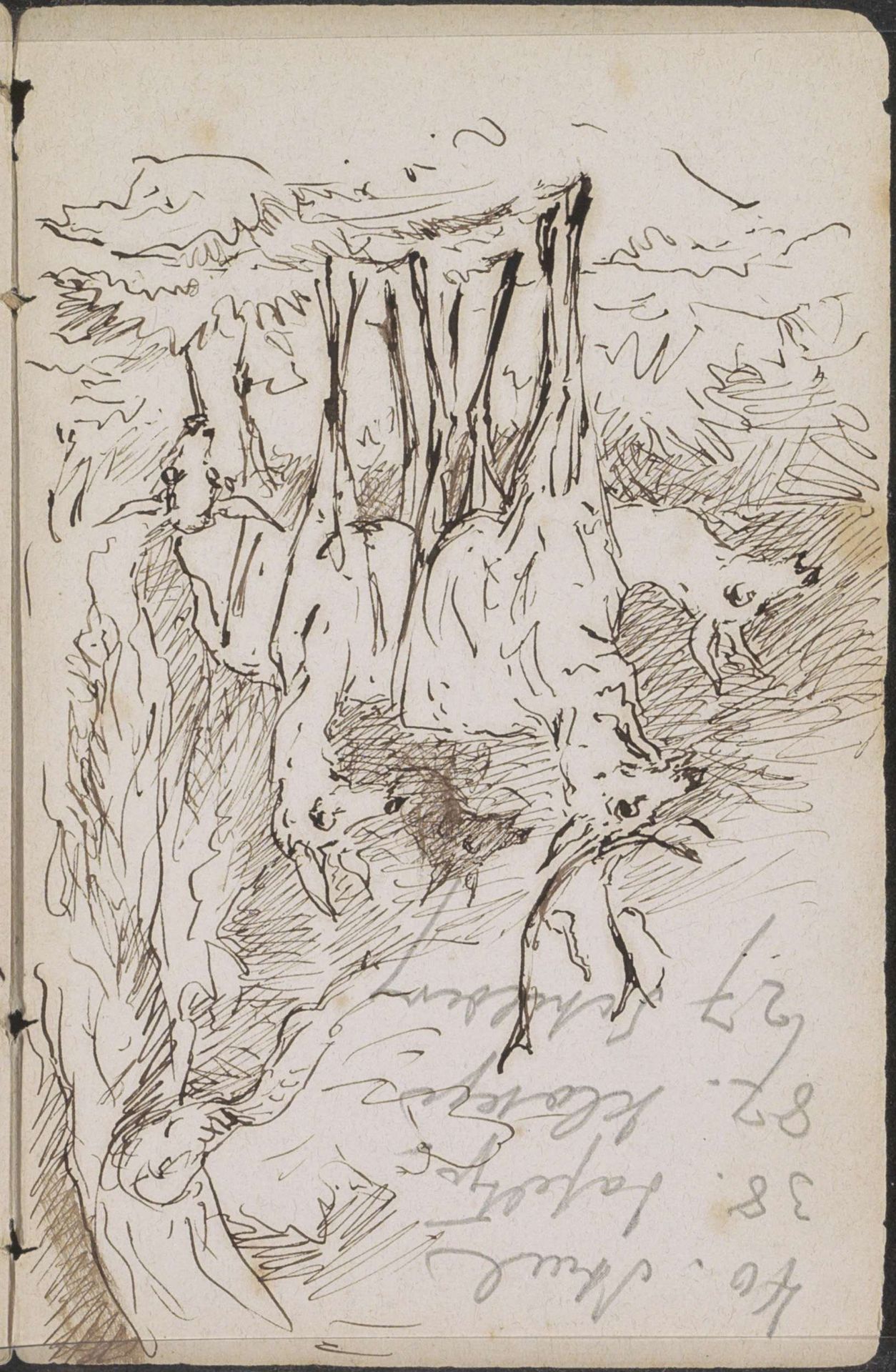 Herten bij een boom by Johannes Tavenraat