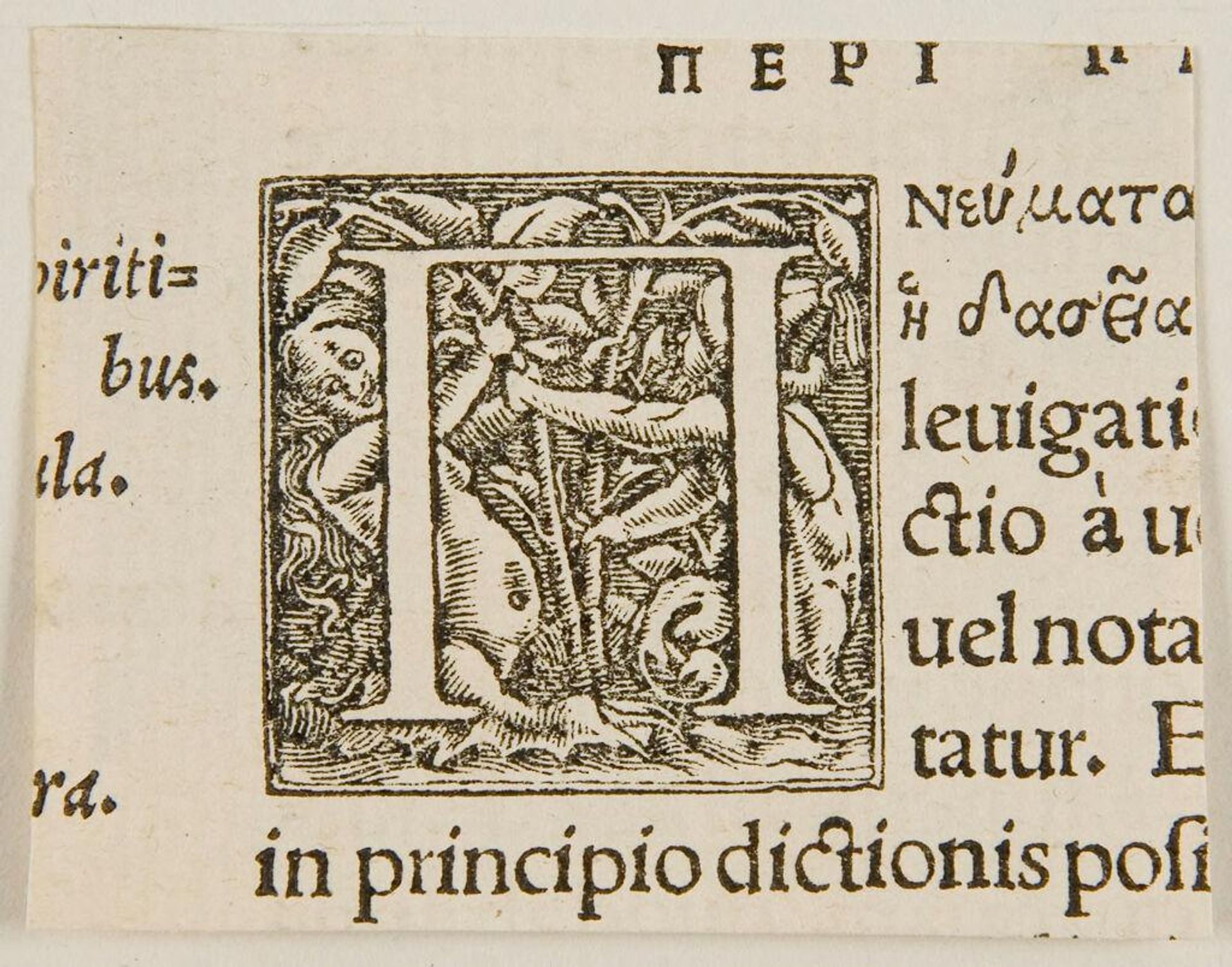 Greek Letter Pi by Anonymous