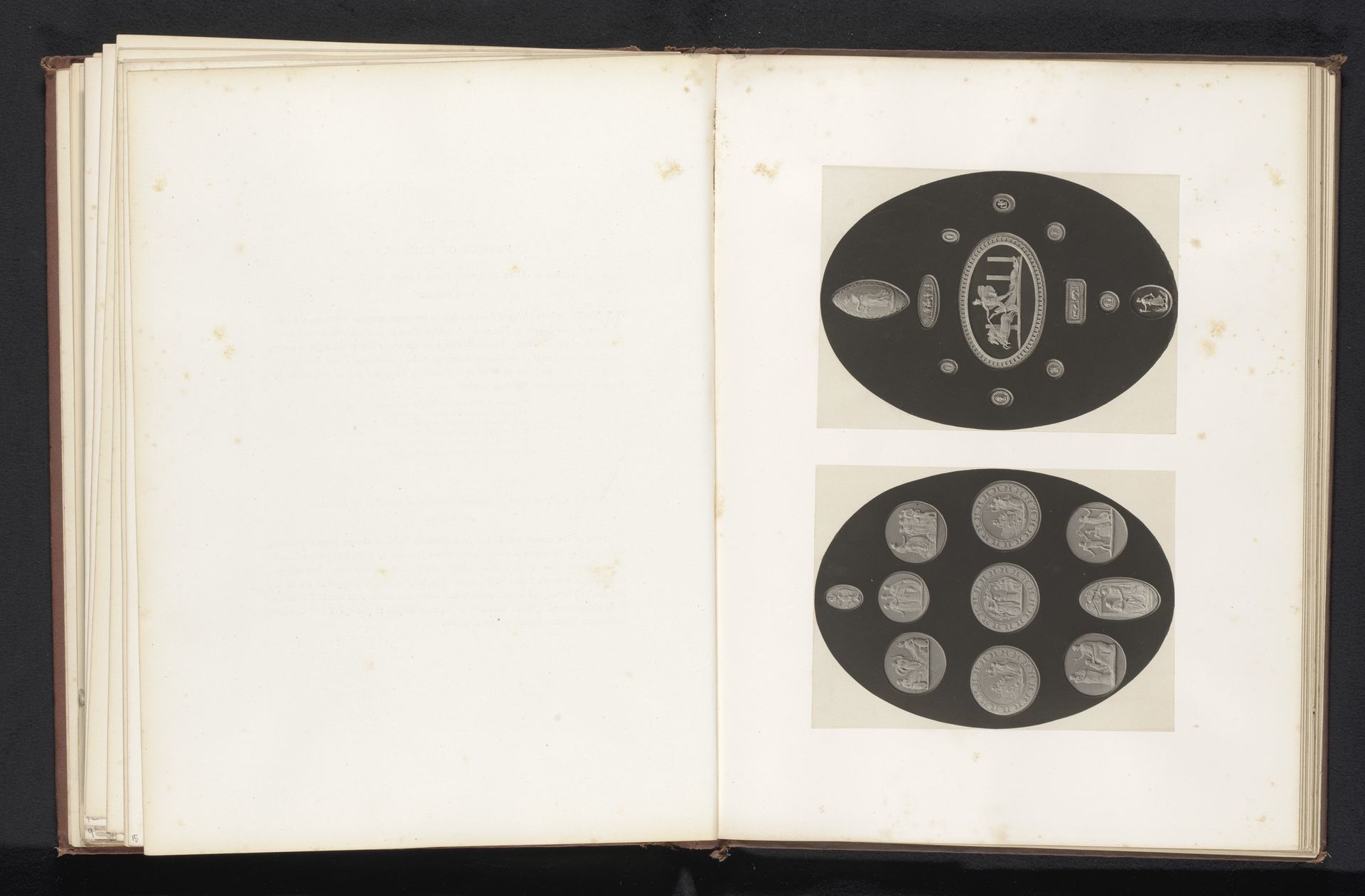 22 cameeën by Joseph Cundall