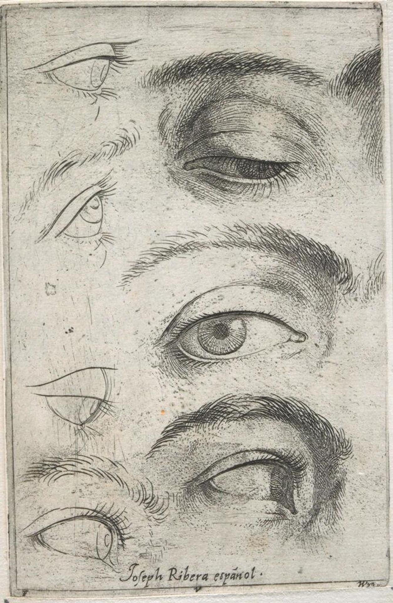 Studies of Eyes by Jusepe de Ribera