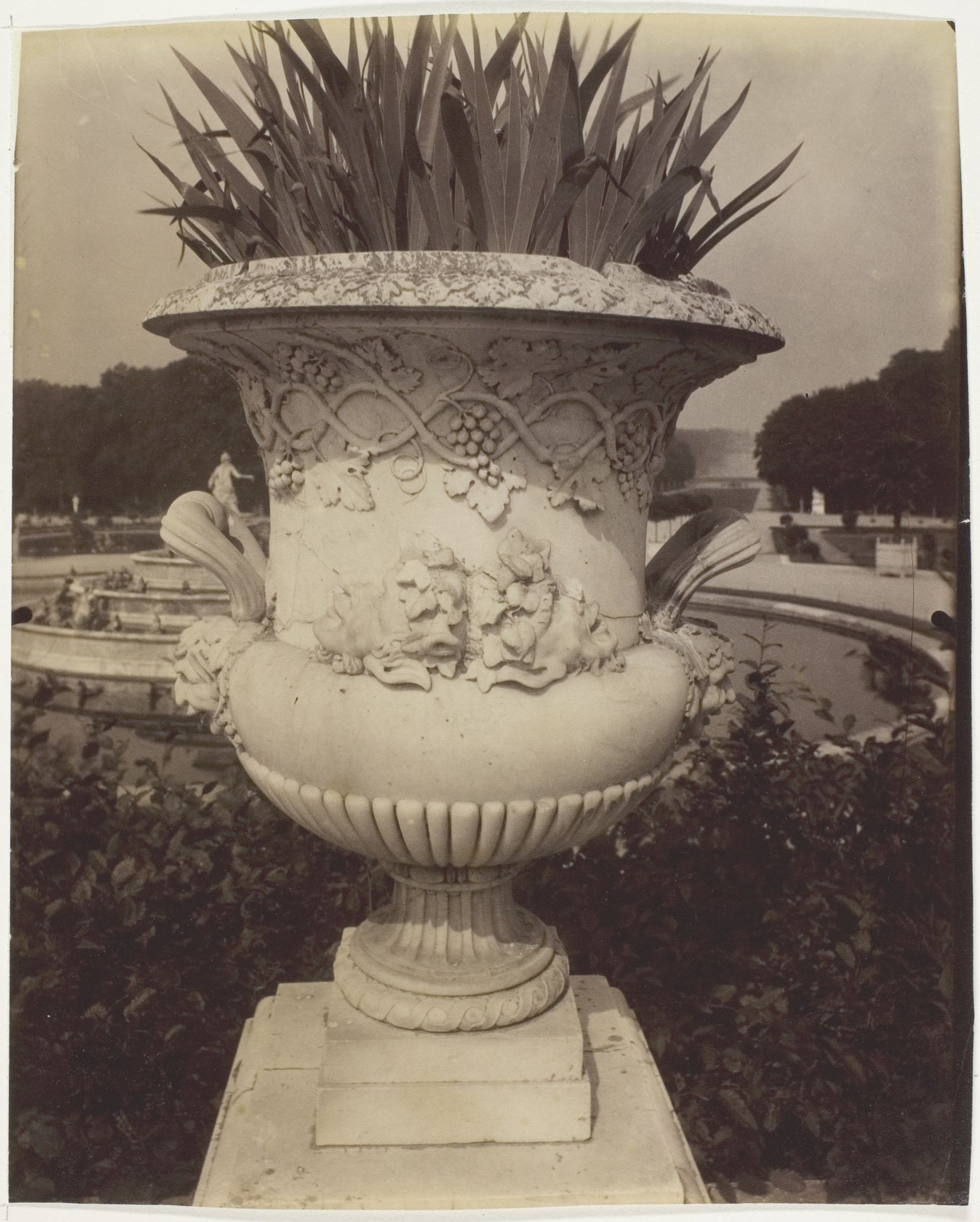 Versailles, Vase by Eugène Atget
