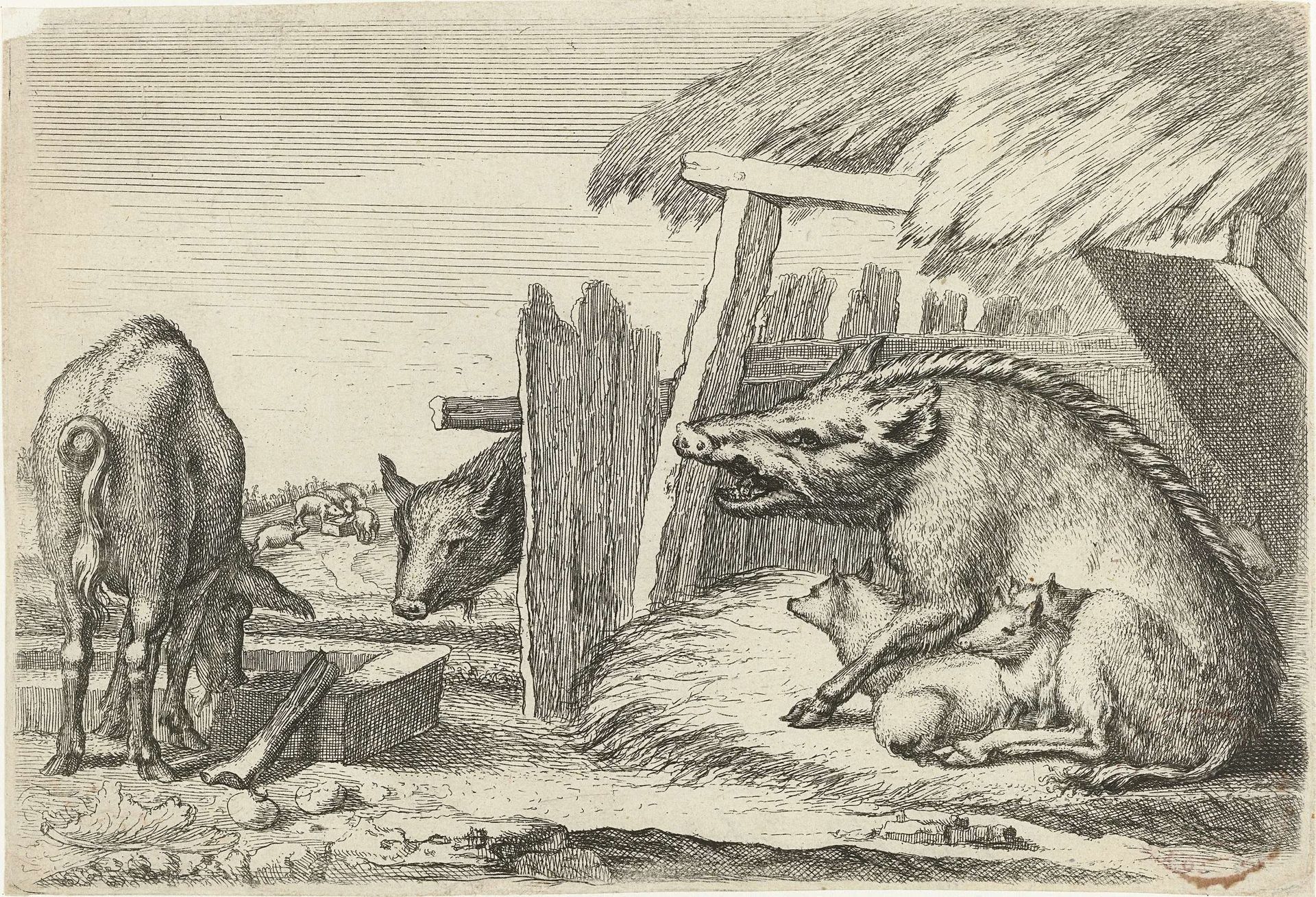 Zwijnen bij een hok by Richard Gaywood