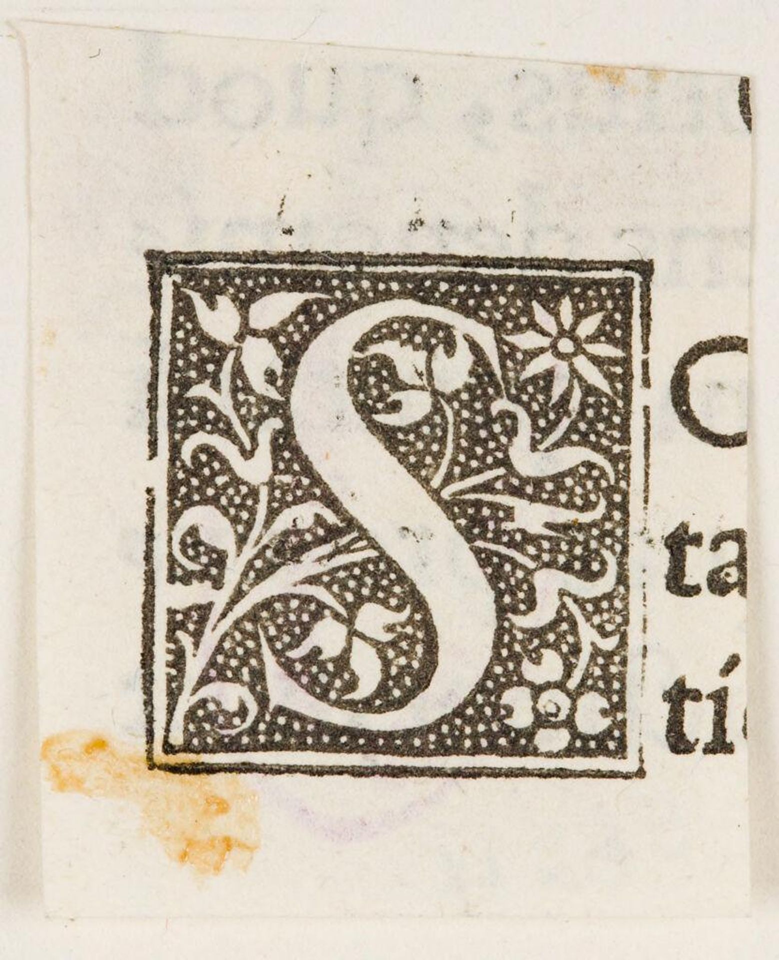 Capital S by Anonymous