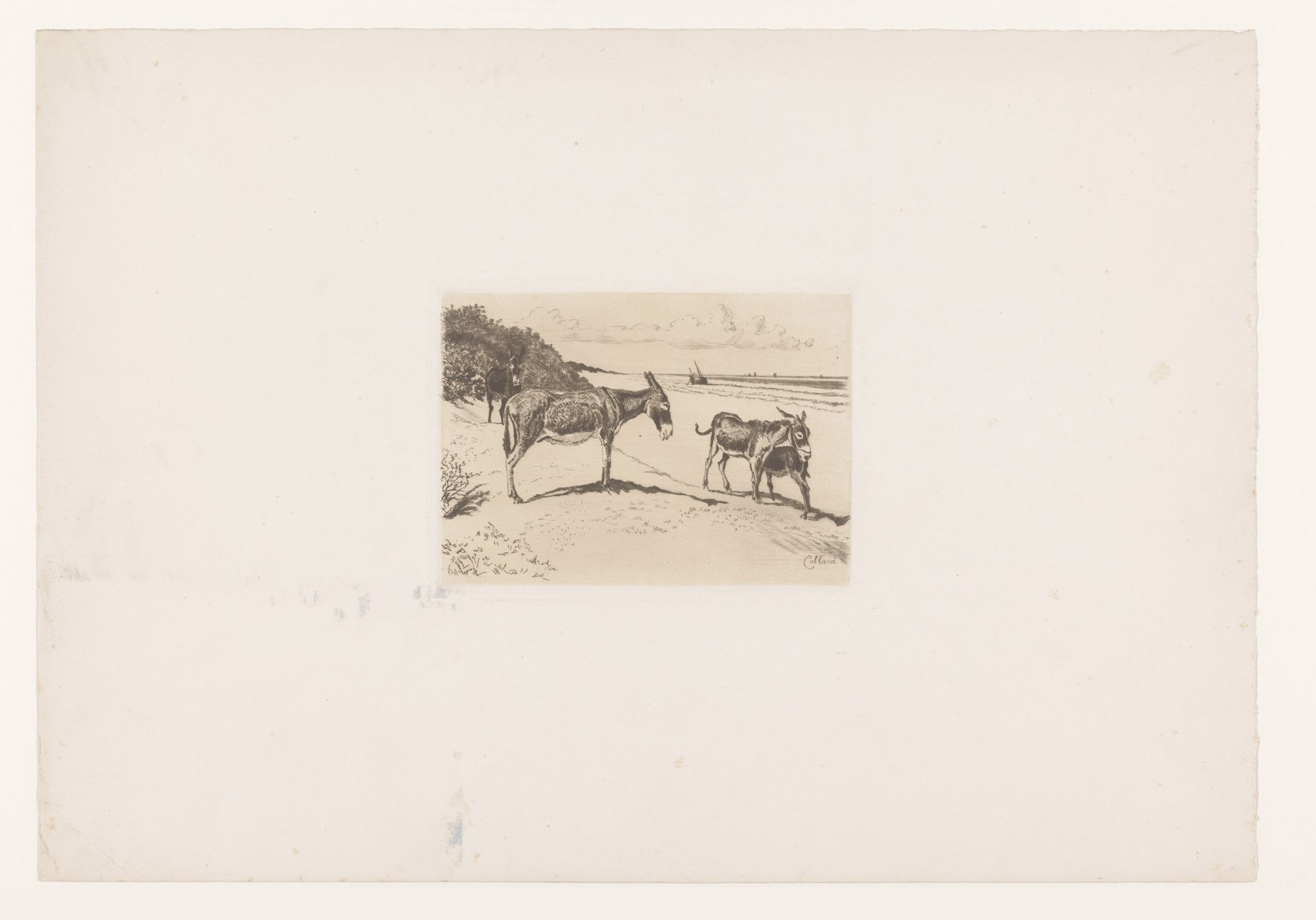 Vier ezels op het strand by Armand Collard