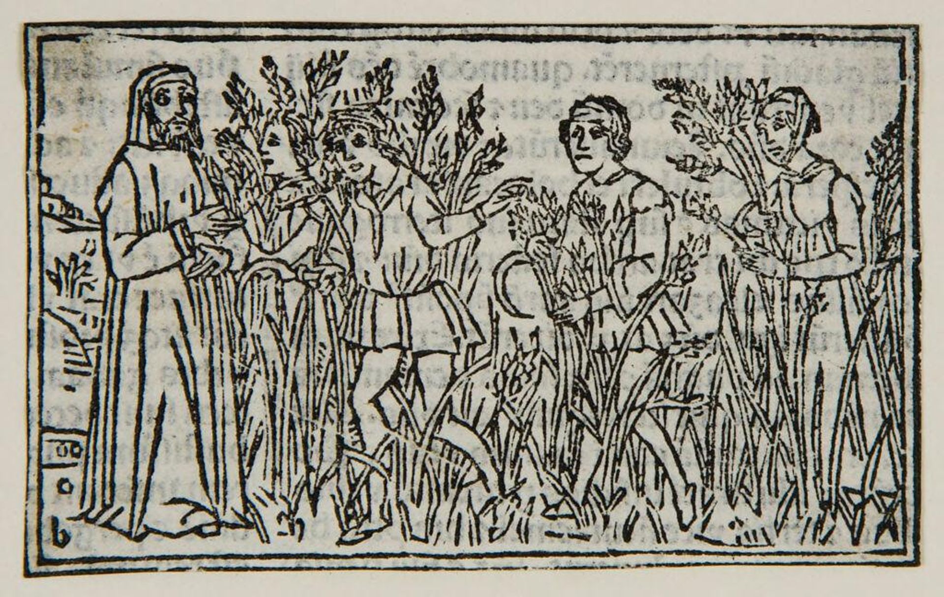 Illustration VII by Anonymous