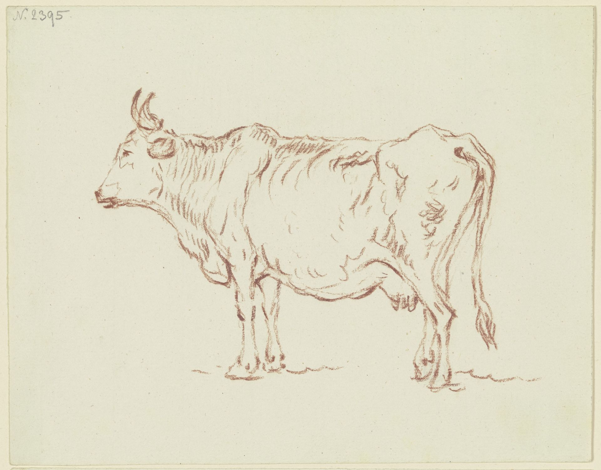 Stehende Kuh nach links, mit leicht gehobenem rechten Hinterlauf by Friedrich Wilhelm Hirt