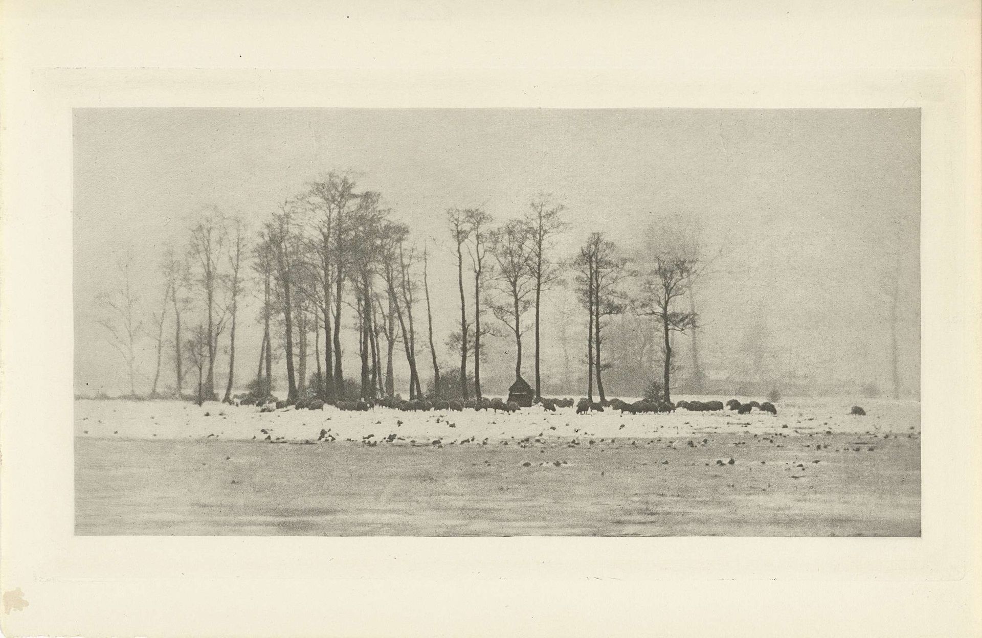 Sneeuwlandschap by Peter Henry Emerson
