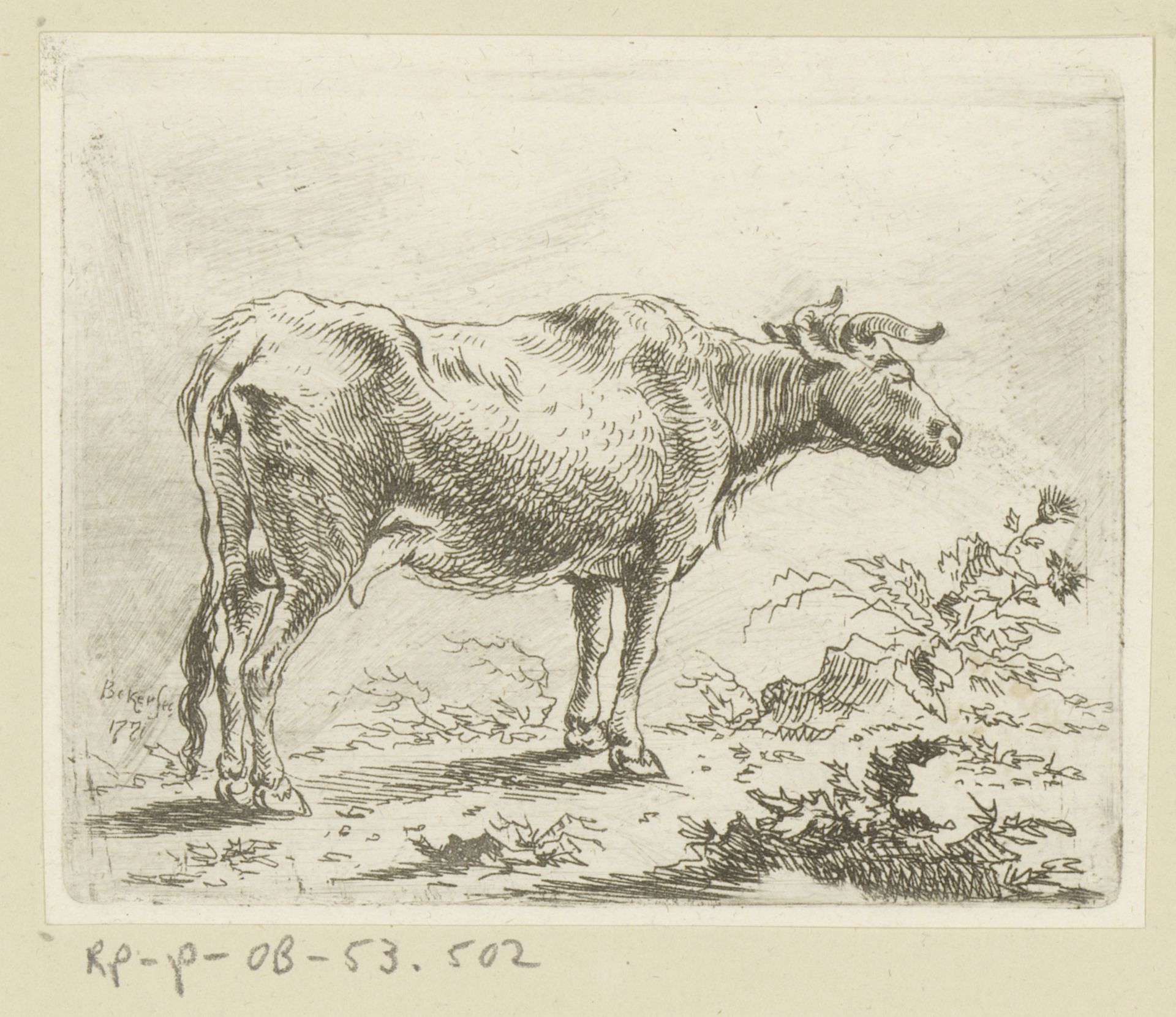 Koe naar rechts gewend by Johann Andreas Benjamin Nothnagel