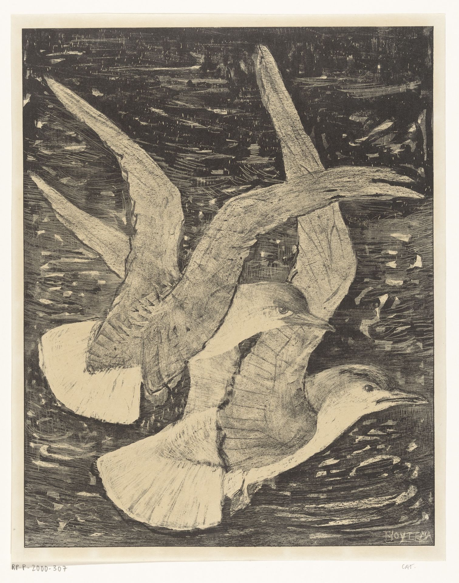 Twee vliegende meeuwen by Theo van Hoytema