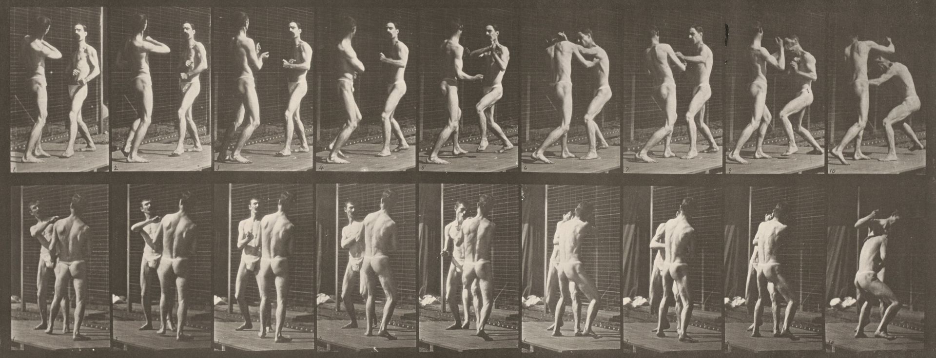 Plate Number 339. Boxing, open hand by Eadweard Muybridge