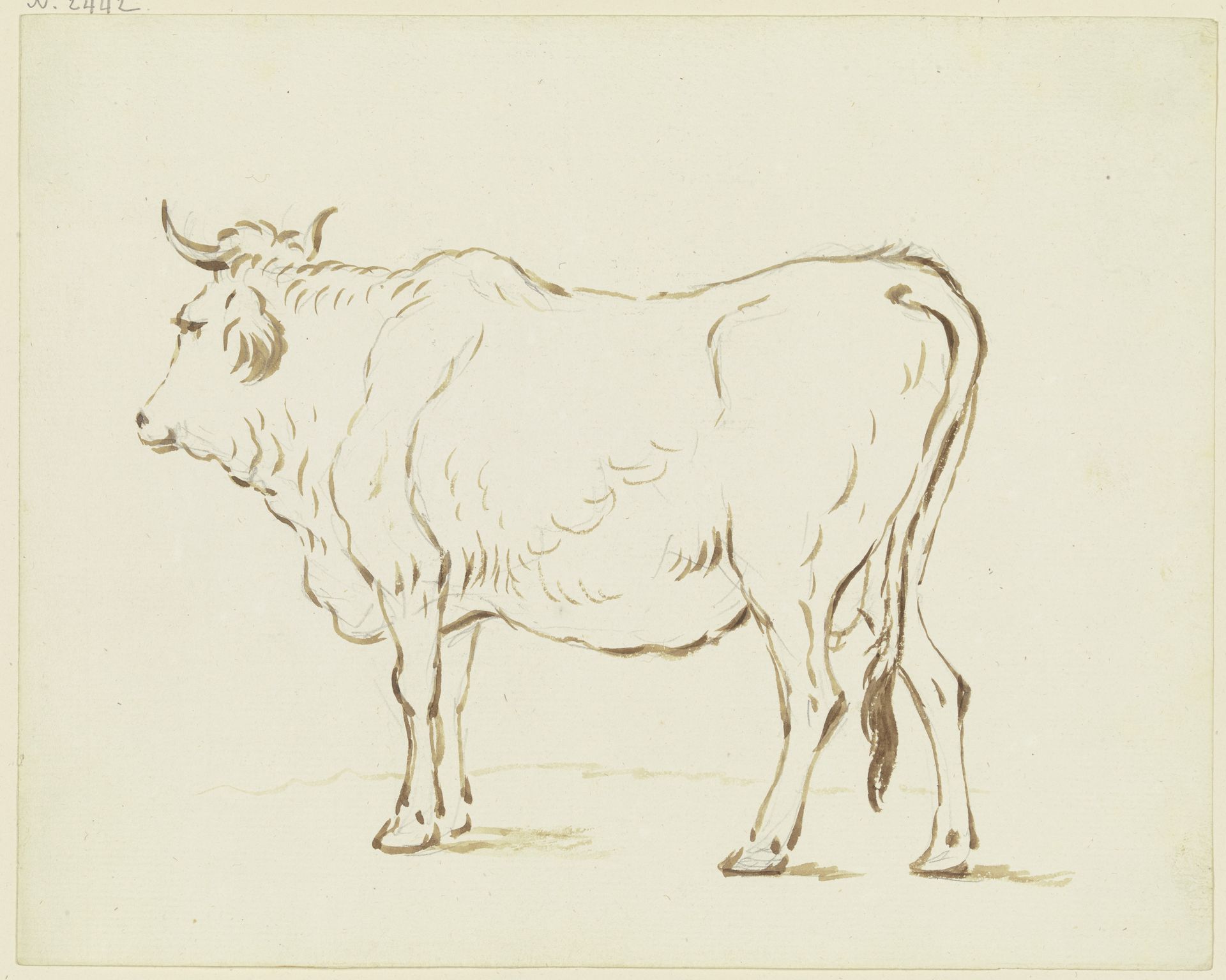 Standing cow to the left by Friedrich Wilhelm Hirt