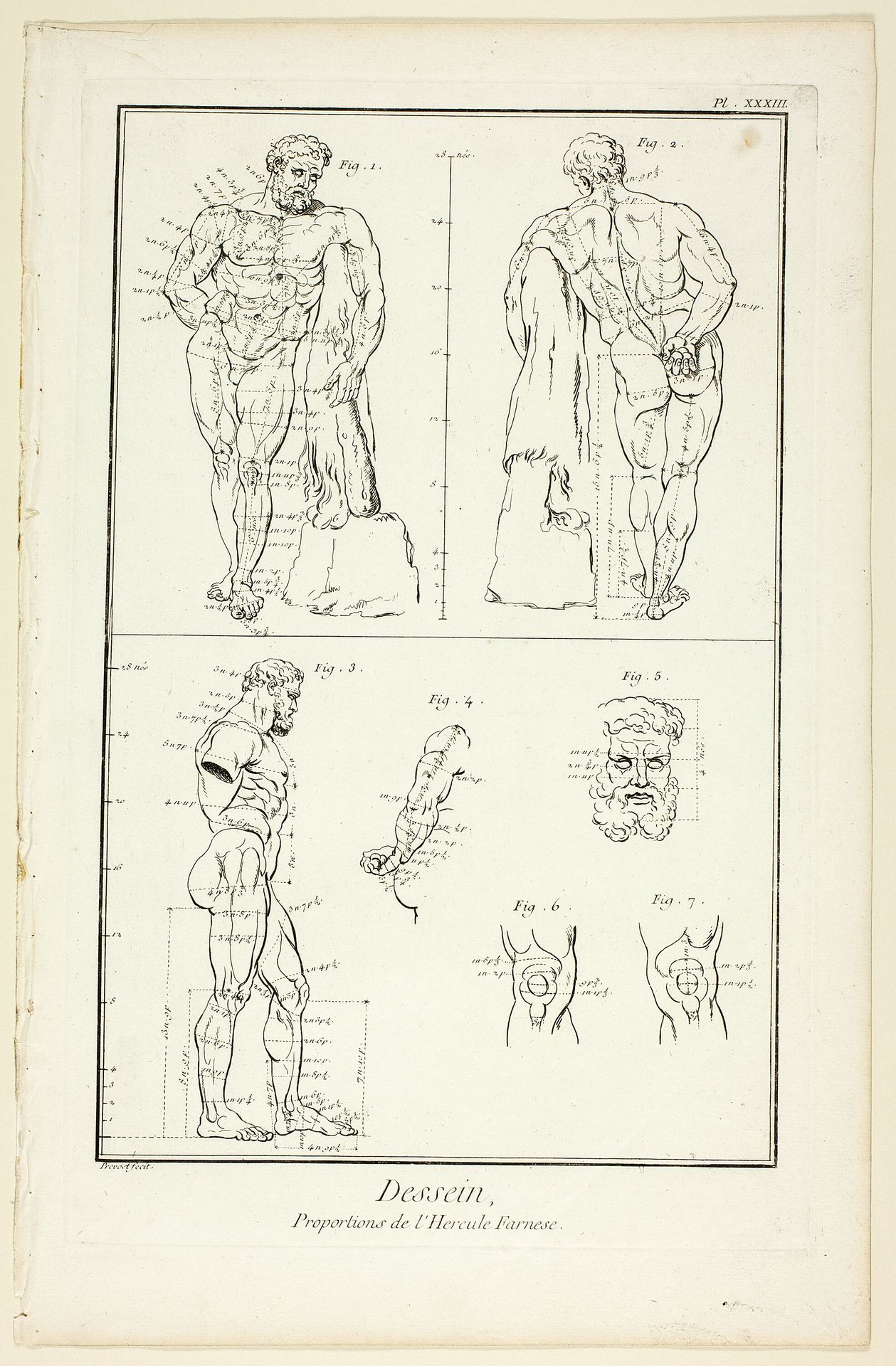 Design: Proportions of the Farnese Hercules, from Encyclopédie by Benoit Louis Prevost