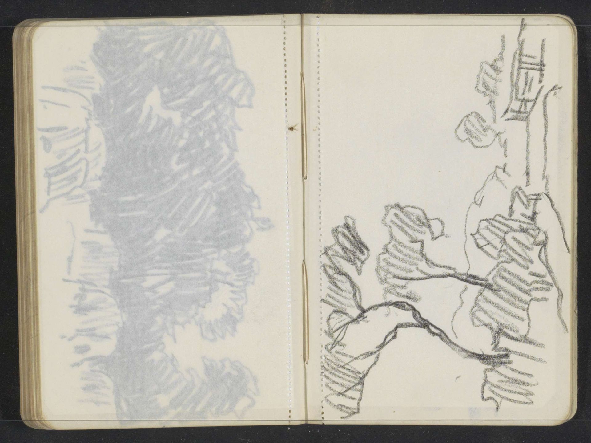 Landschap met bomen by Alexander Shilling