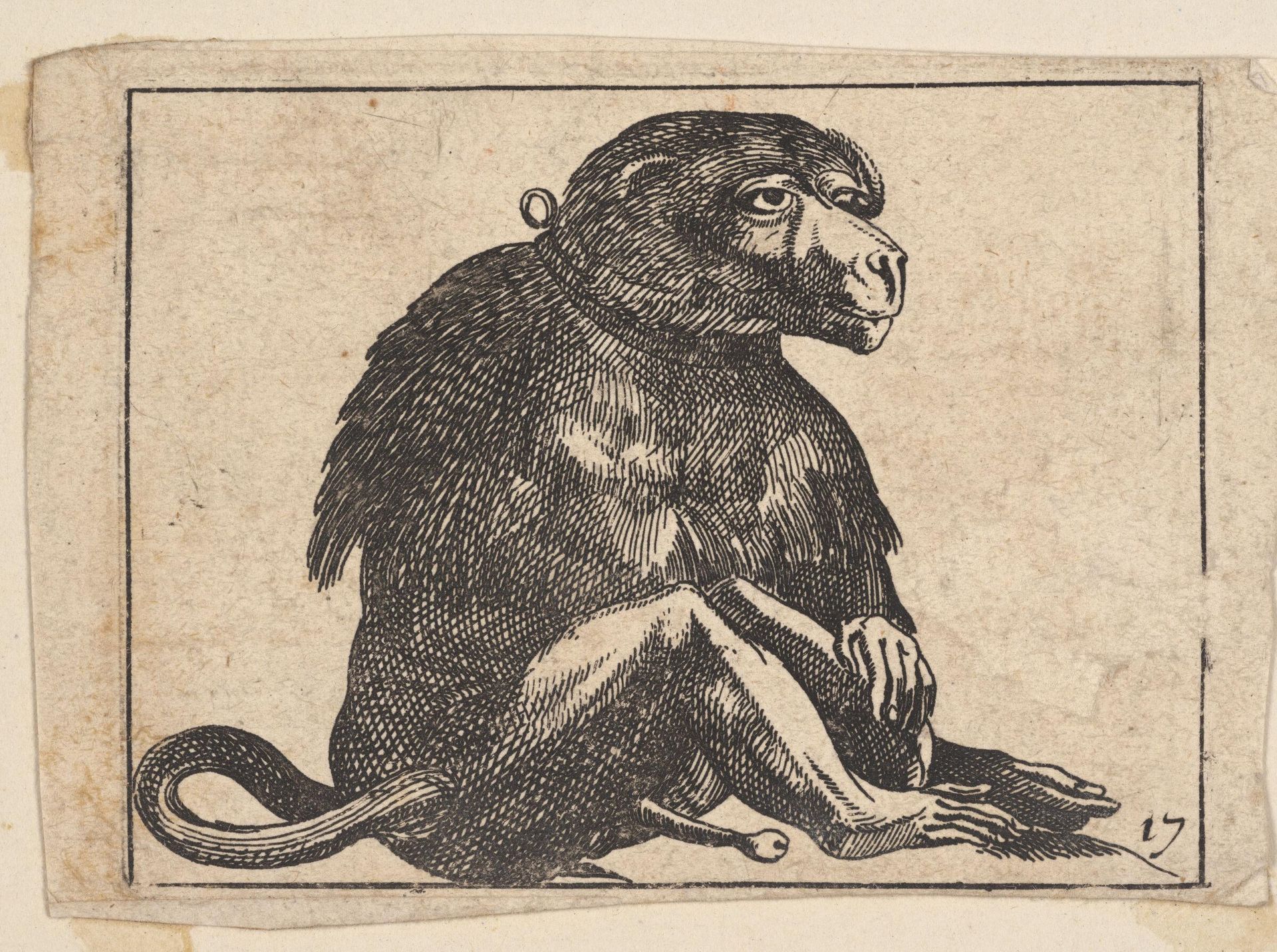 Seated Monkey by Antonio Tempesta