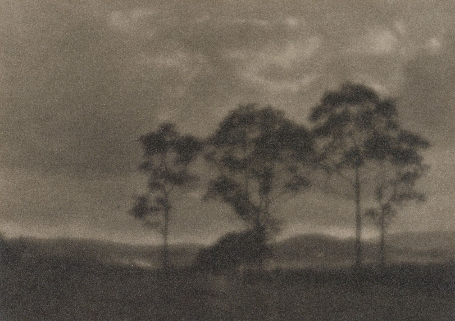 Untitled [four trees silhouetted] by J. H. Field