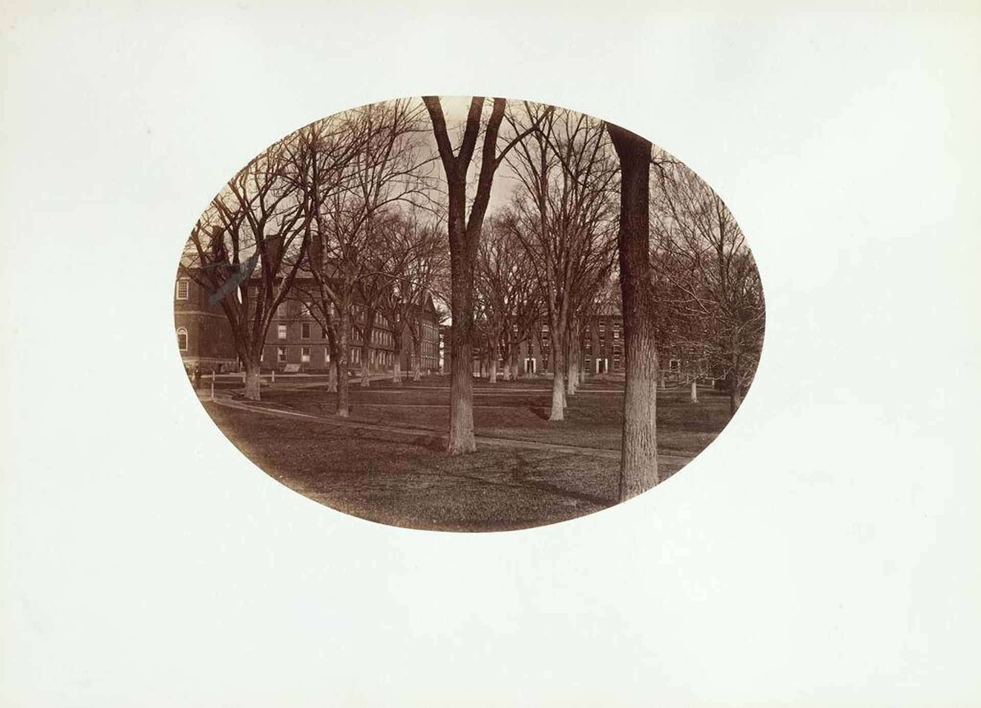 Old Harvard Yard (Harvard, Hollis, Stoughton and Holworthy Halls) by George Kendall Warren