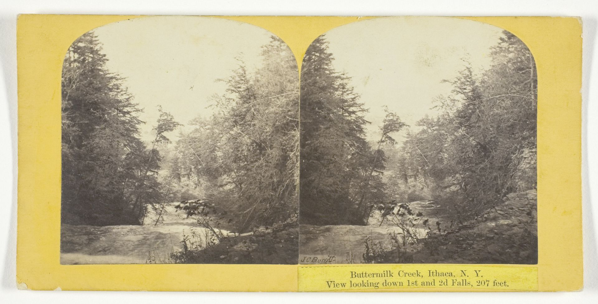 Buttermilk Creek, Ithaca, N.Y. View looking down 1st and 2d Falls, 207 feet by J.C. Burritt