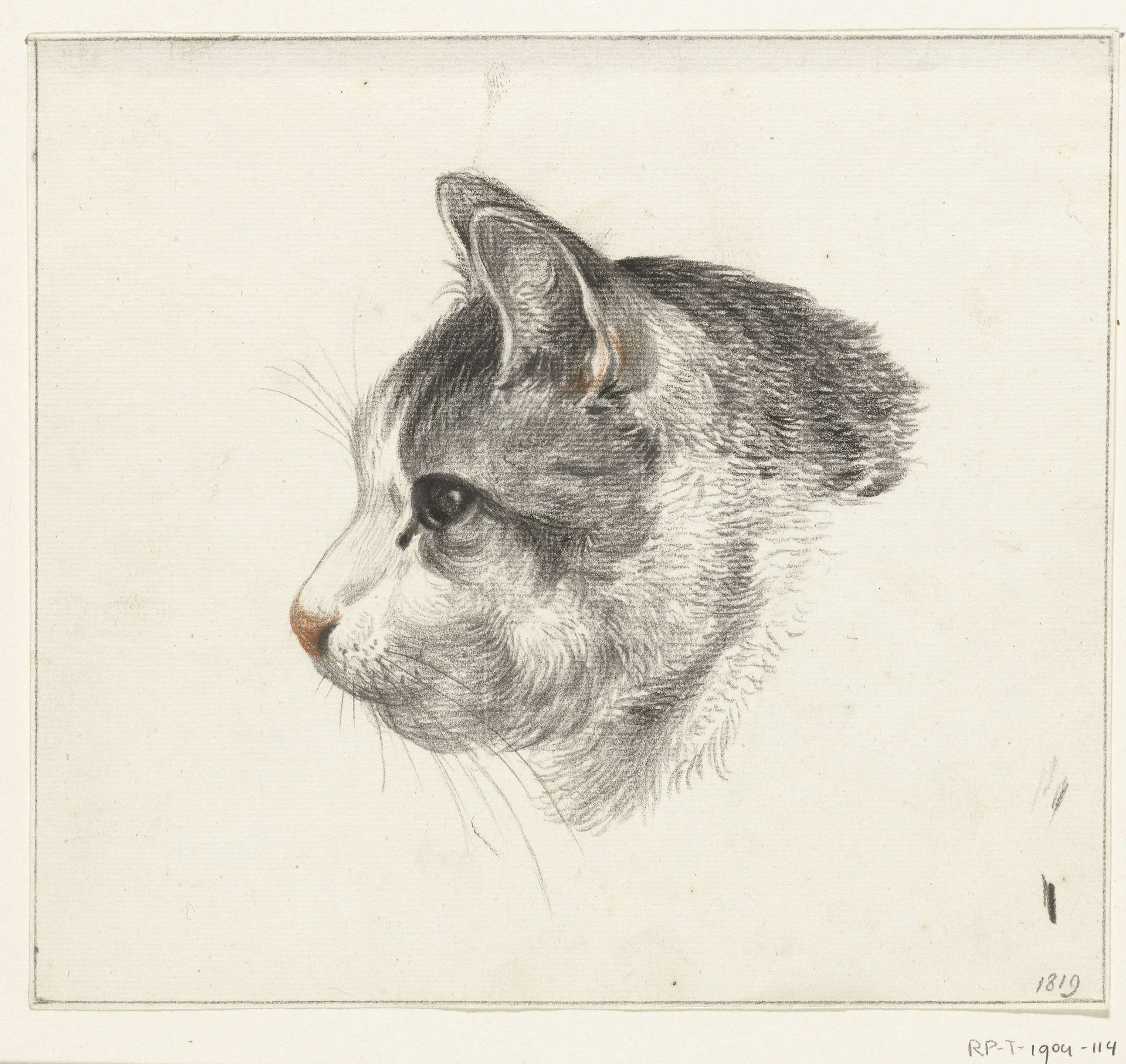 Kop van een kat, naar links by Jean Bernard