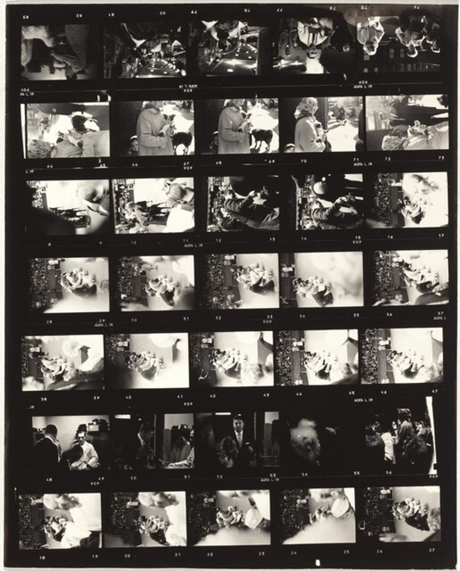 Dog show 1 by Robert Frank