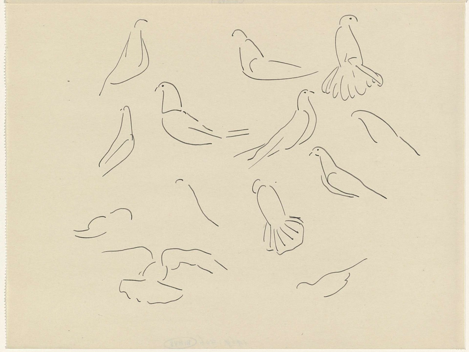 Studies van duiven by Carel Adolph Lion Cachet