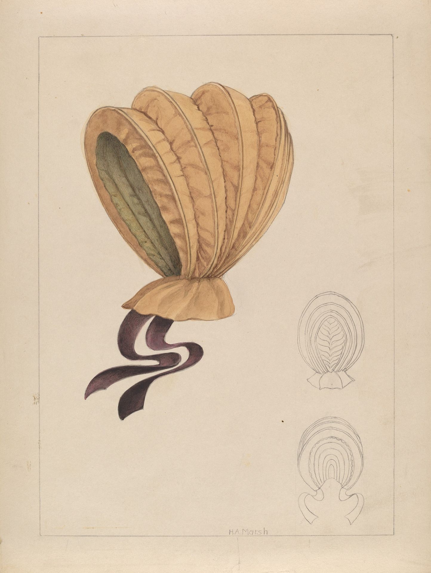 Bonnet by Herbert Marsh