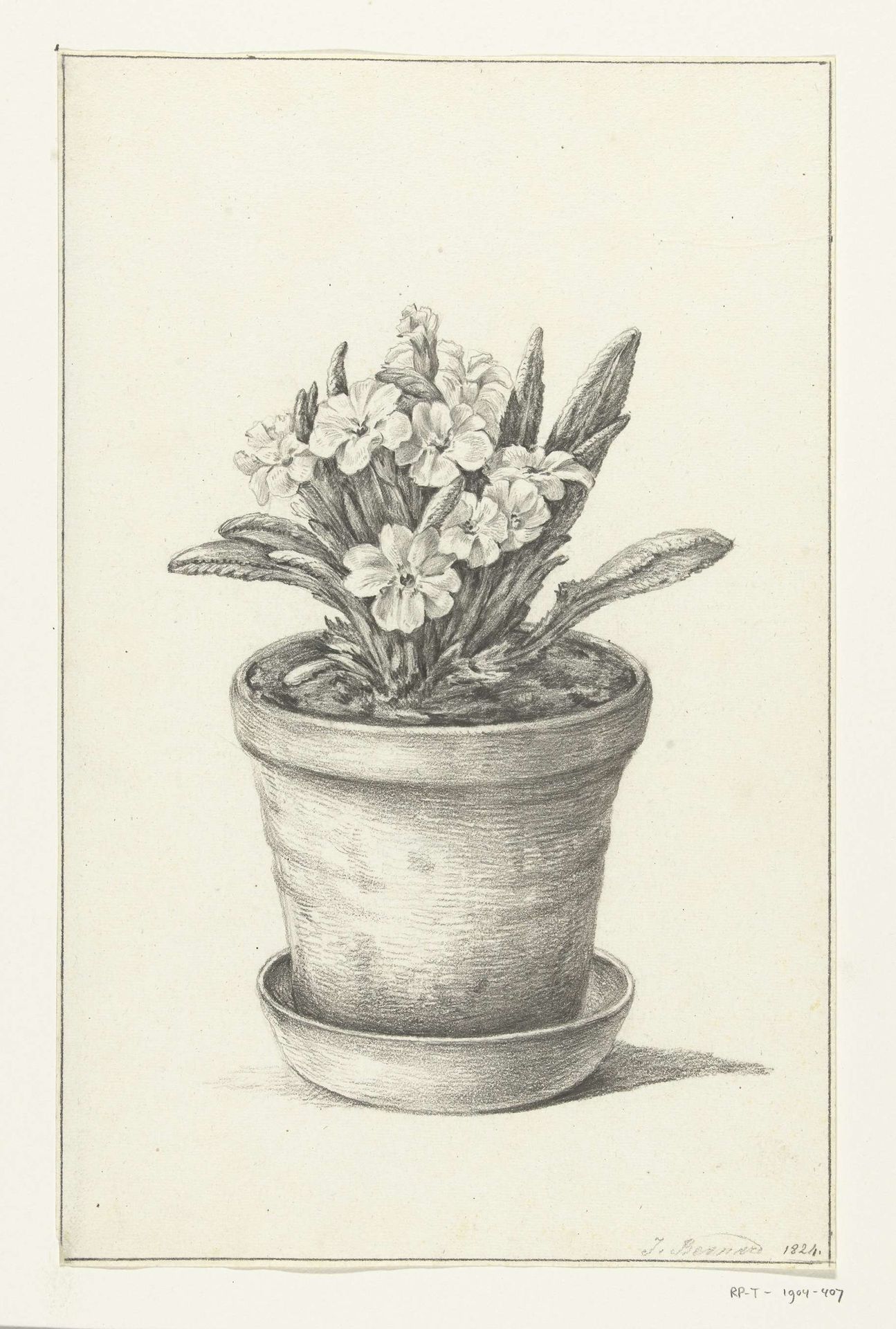 Potplant by Jean Bernard