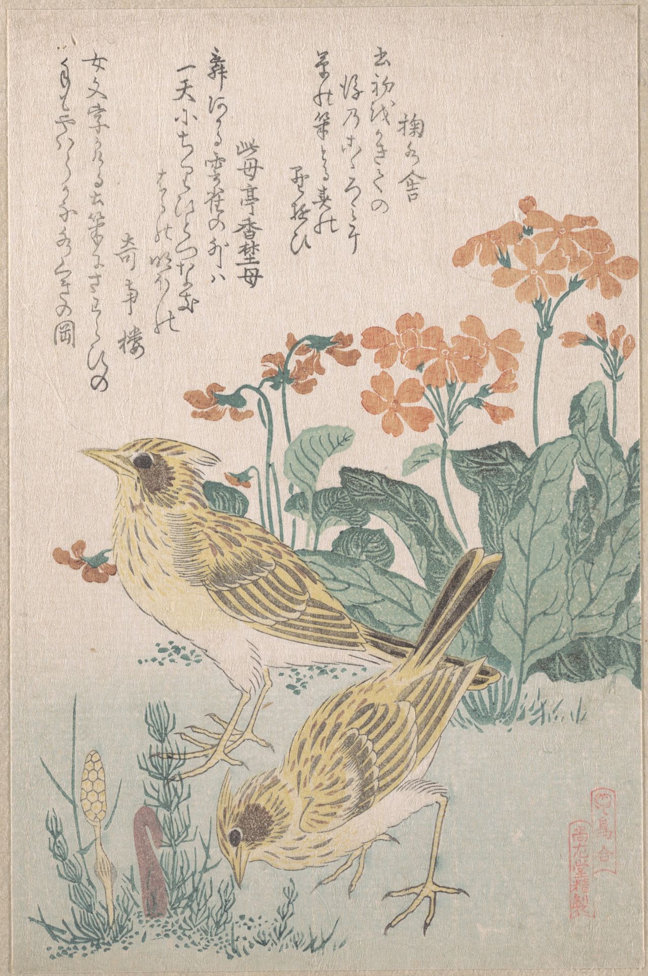Skylarks and Primroses,” from the Series An Array of Birds (Tori awase), from Spring Rain Surimono Album (Harusame surimono-jō, vol. 3) by Kubo Shunman