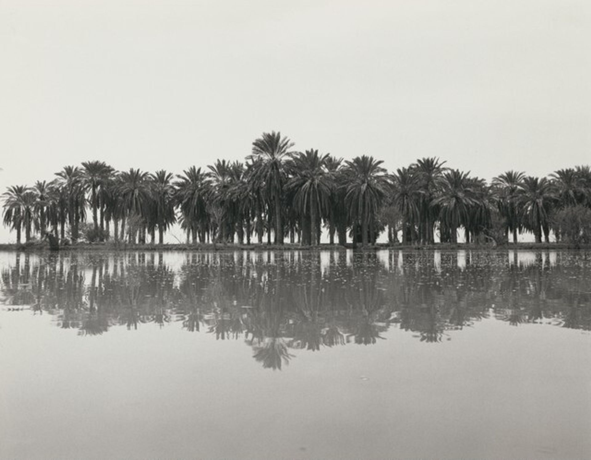 Untitled by Ursula Schulz-Dornburg