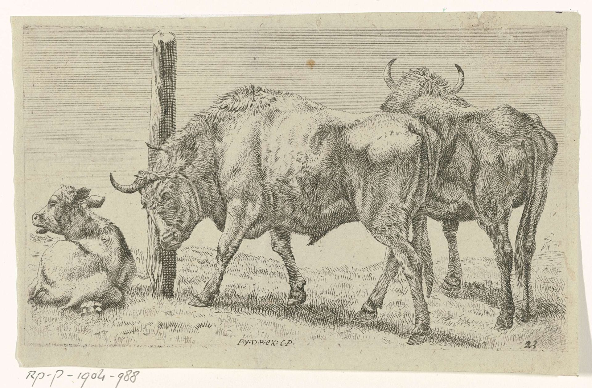 Stieren by Anonymous