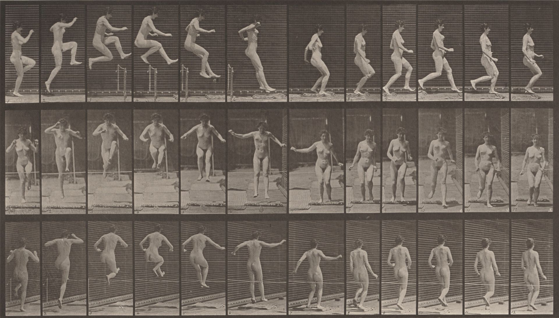 Plate Number 155. Jumping, running straight high jump by Eadweard Muybridge