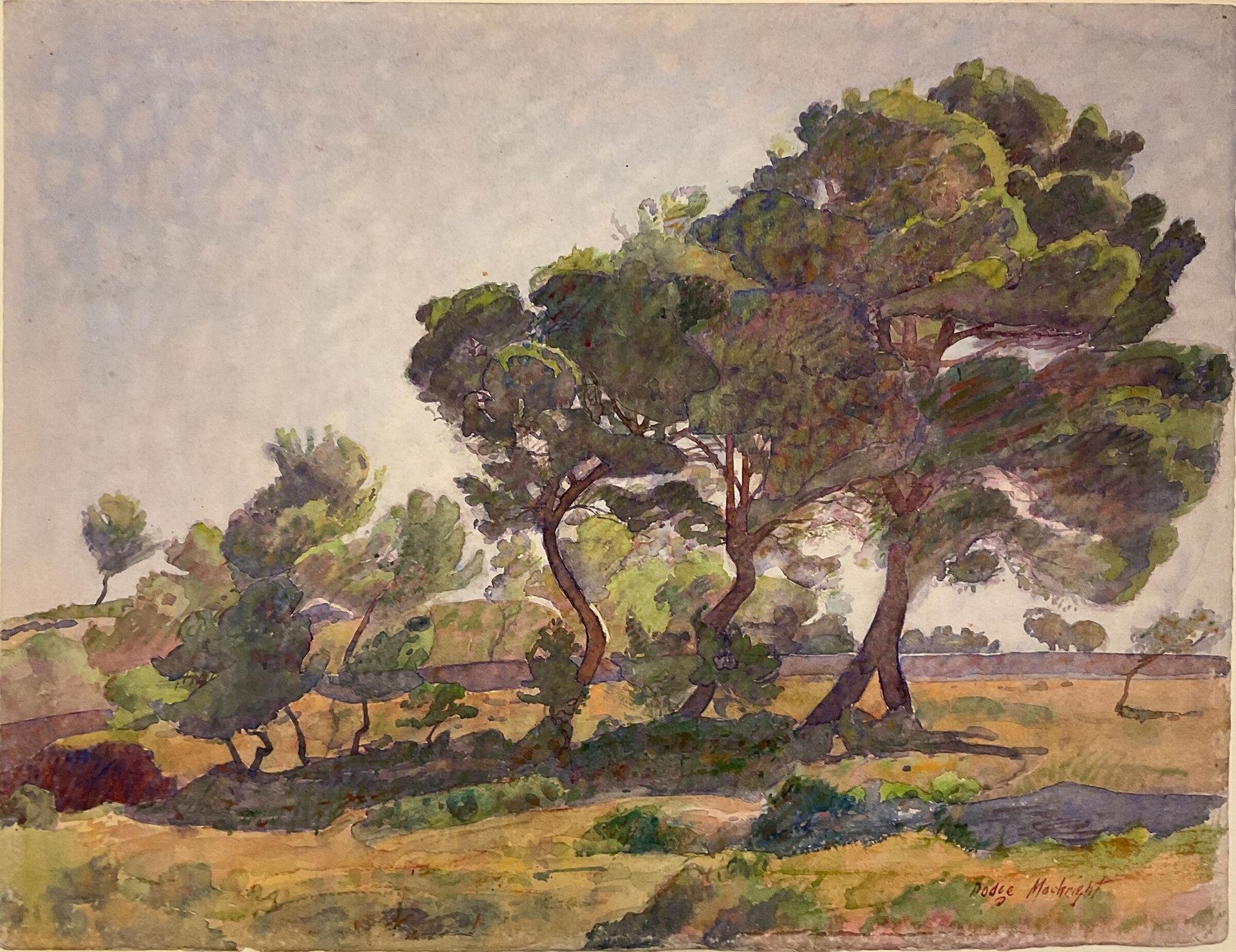 Study of Trees, Cassis by Dodge Macknight