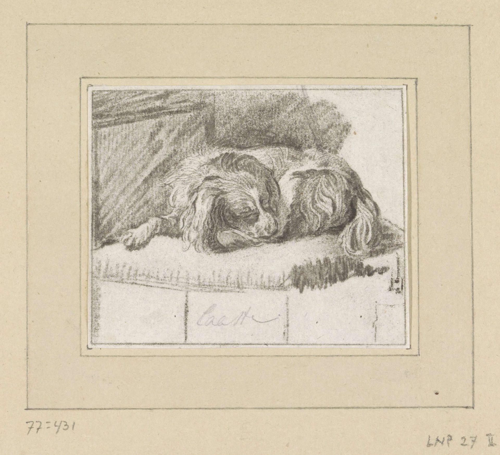 Liggende hond by Cornelis Brouwer