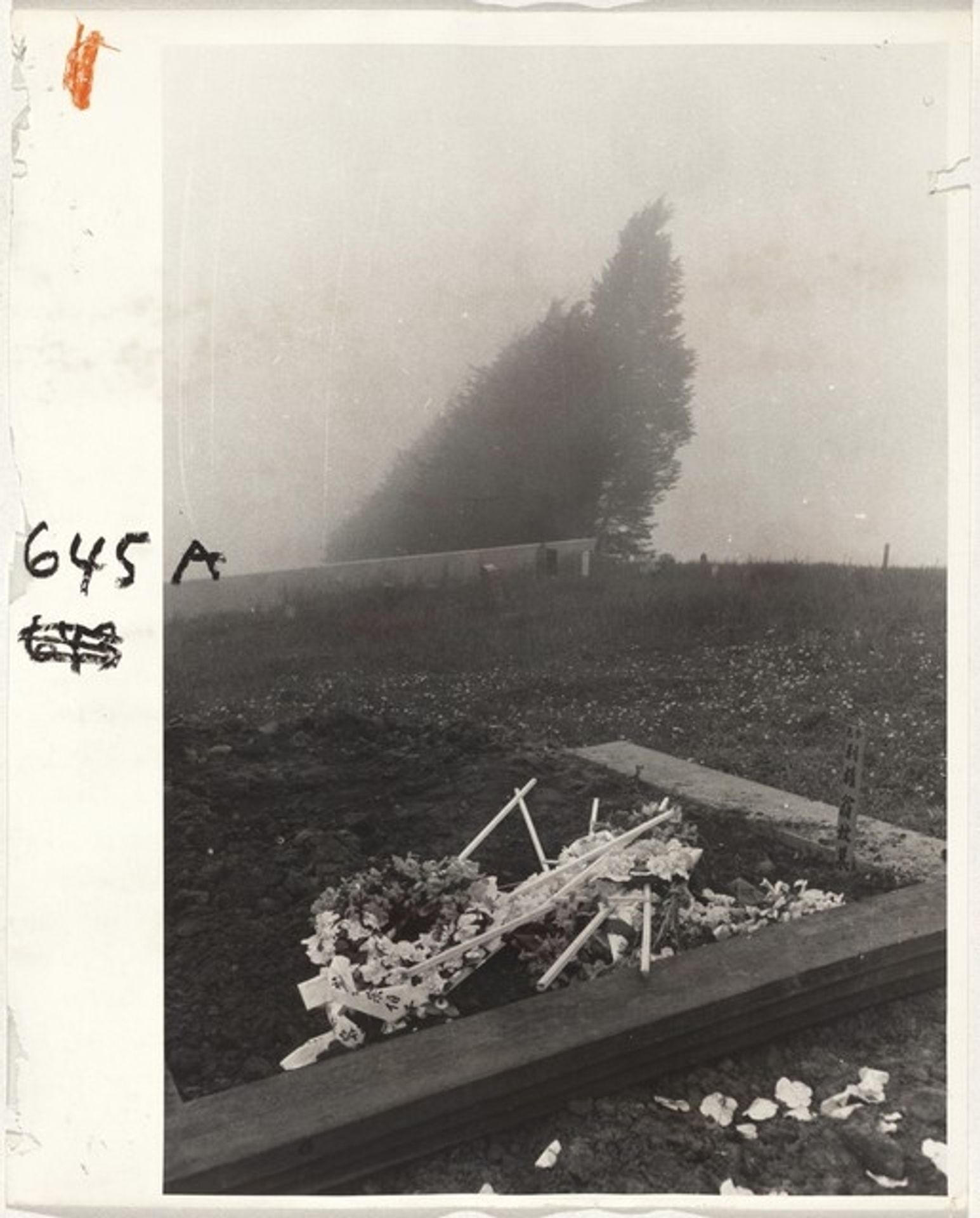 Chinese cemetery—San Francisco by Robert Frank