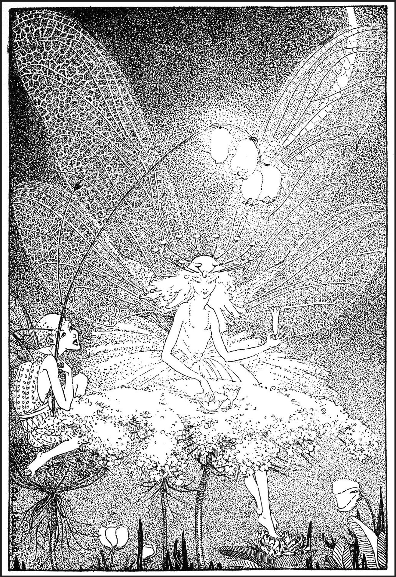 Illustration for Down-Adown-Derry by Dorothy Lathrop