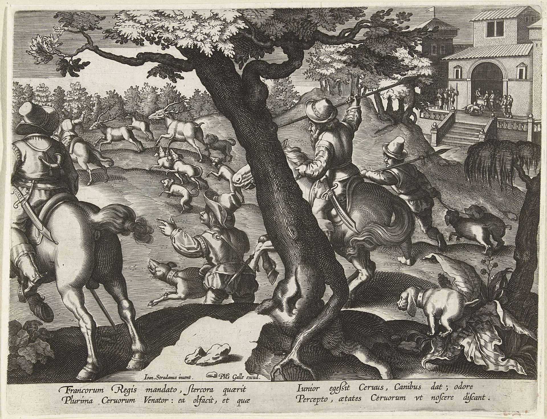 Hertenjacht met honden by Jan (II) Collaert
