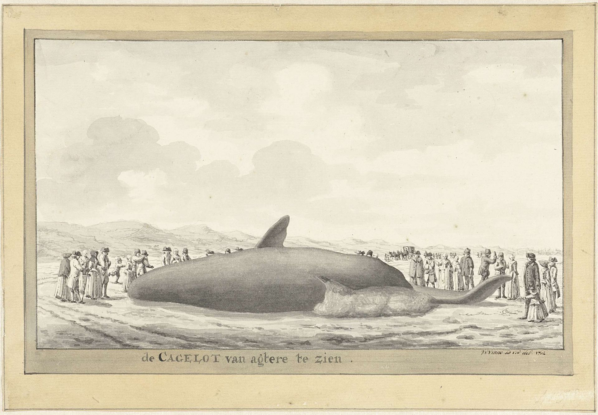 Aangespoelde potvis bij Egmond aan Zee, 1764 by Vincent Jansz. van der Vinne