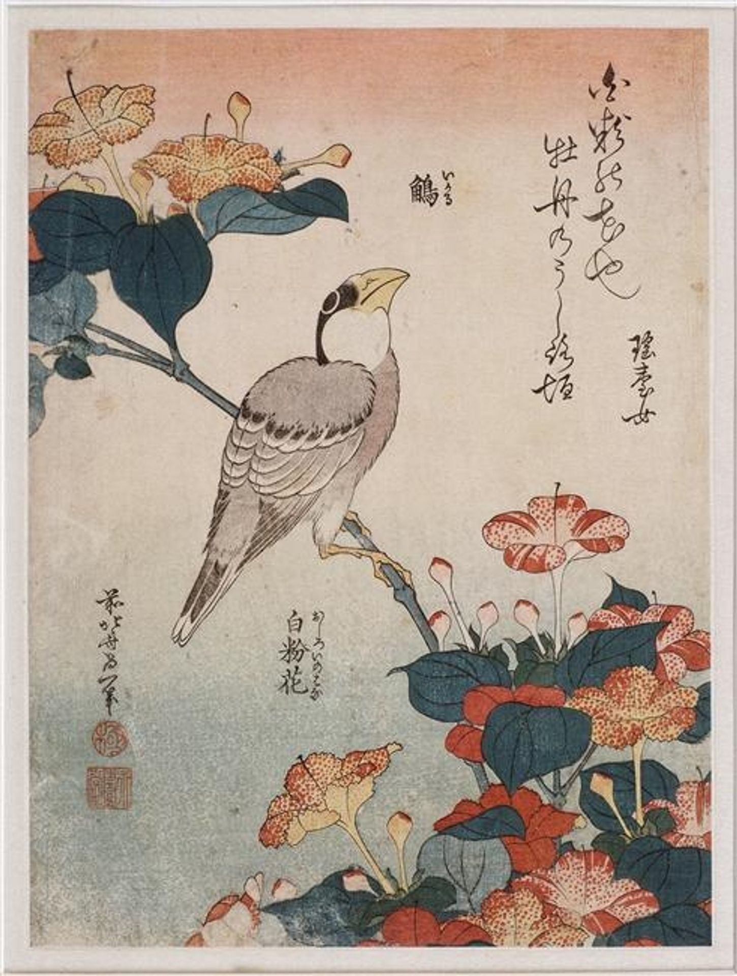 Grosbeak and mirabilis by Katsushika Hokusai