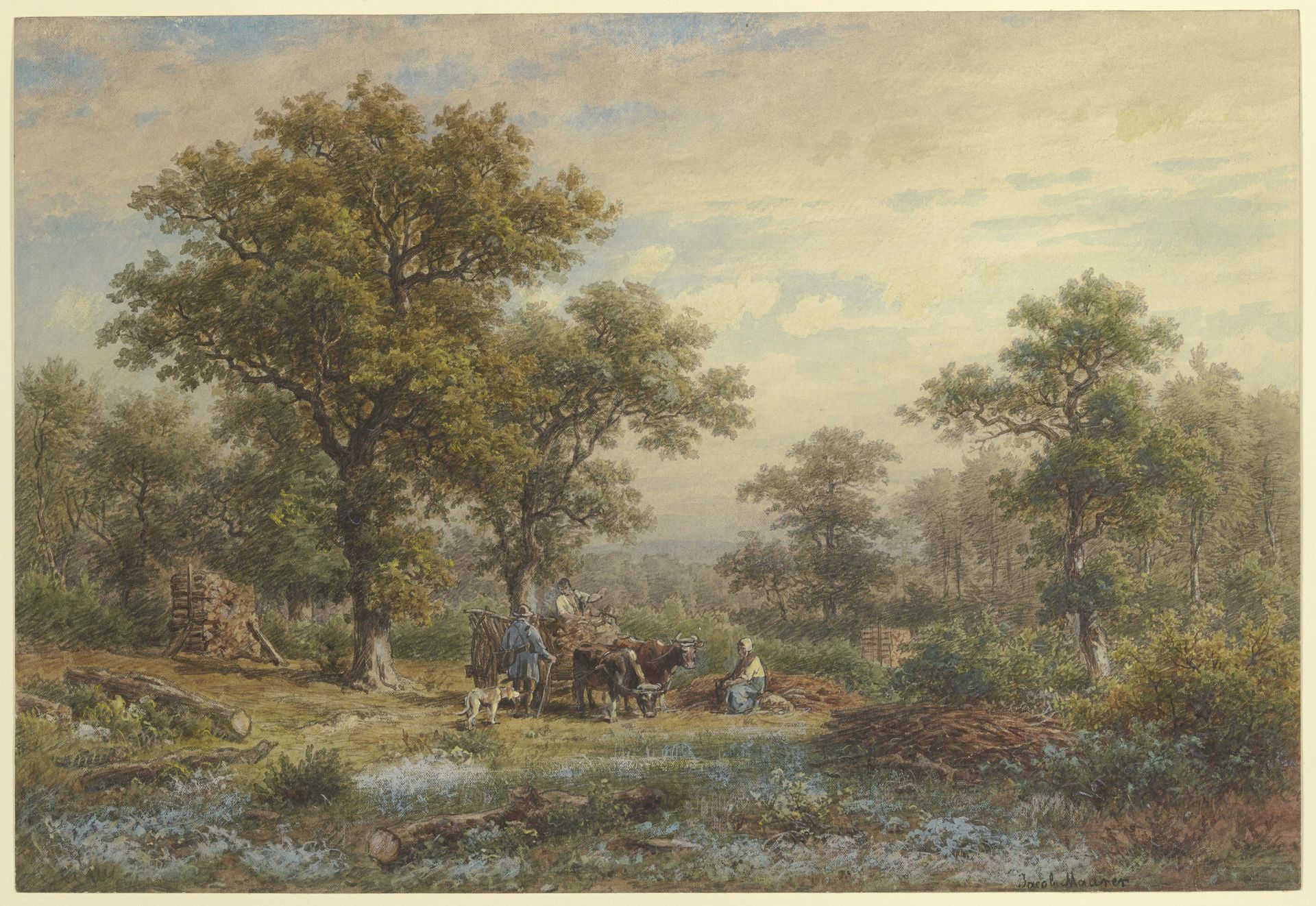Clearing in the oak forest by Jakob Maurer