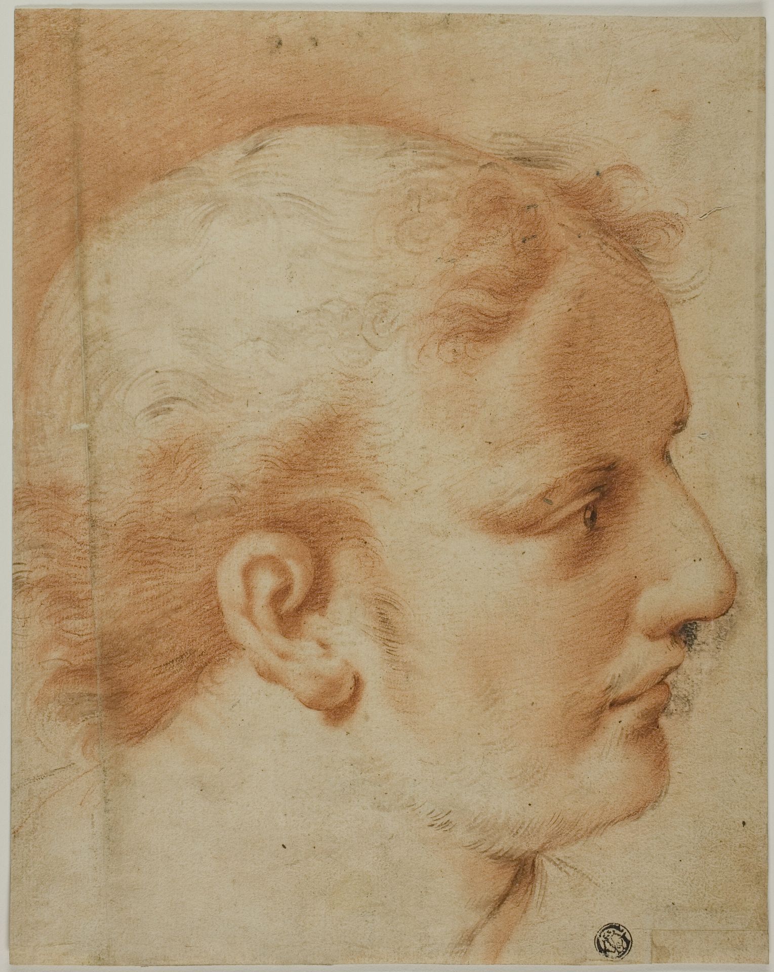 Head of Young Man, in Profile to Right by Anonymous