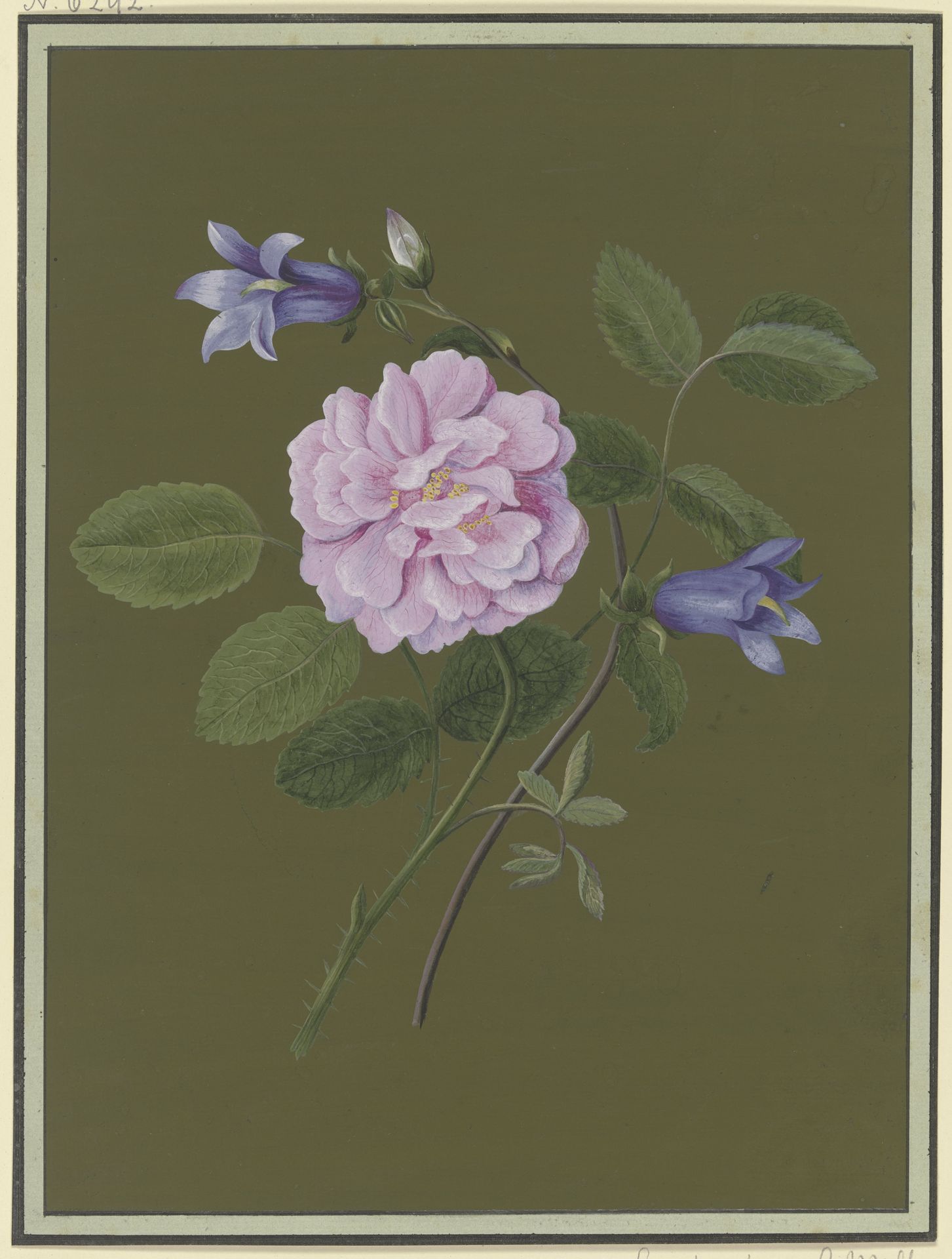 Rose and bluebells by Christiane Friederike Stricker