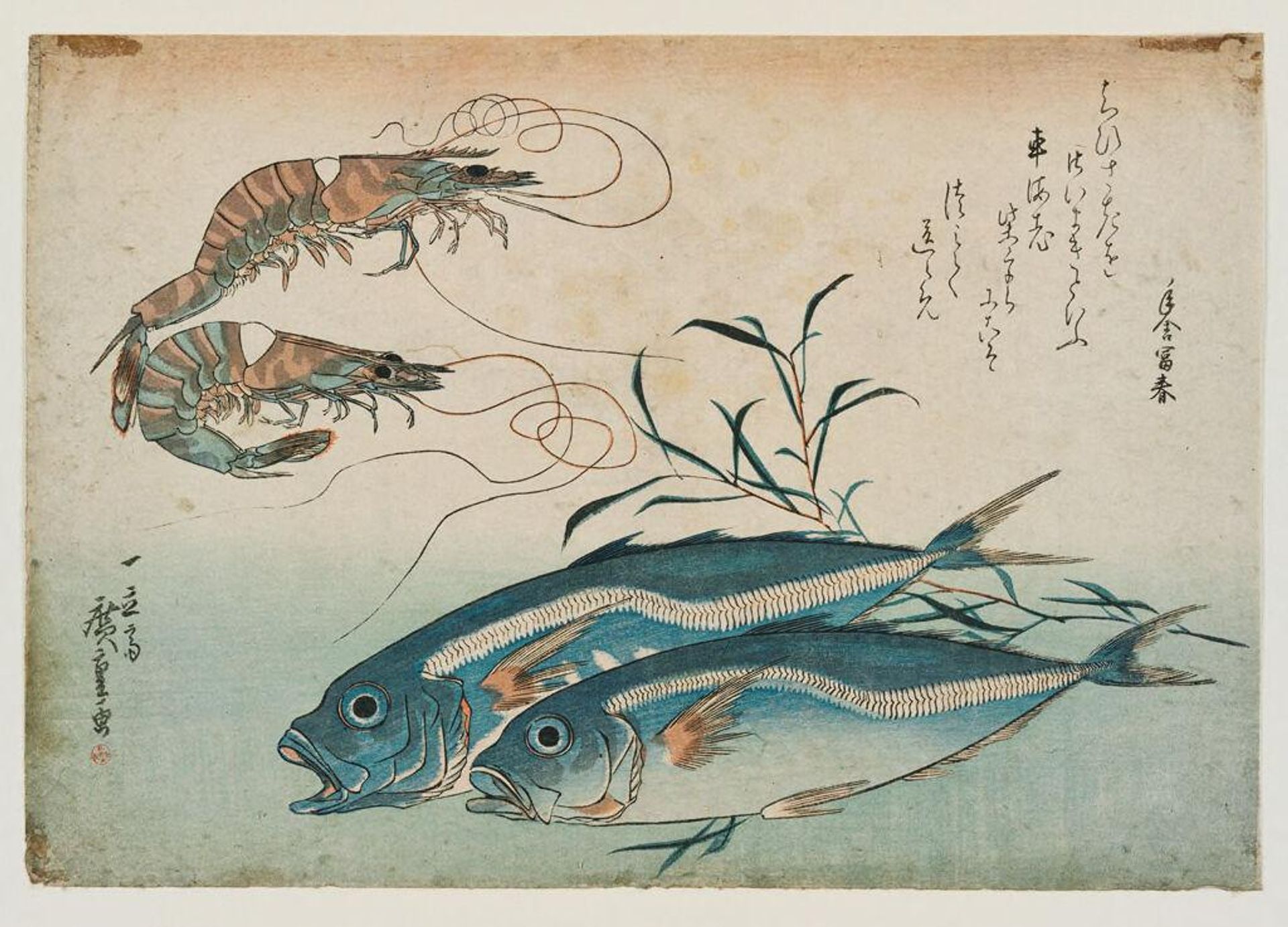 Prawn (Kuruma ebi), Horse Mackerel (Aji), and Smartweed (Tade) from the series A Shoal of Fishes (Uozukushi) by Utagawa Hiroshige
