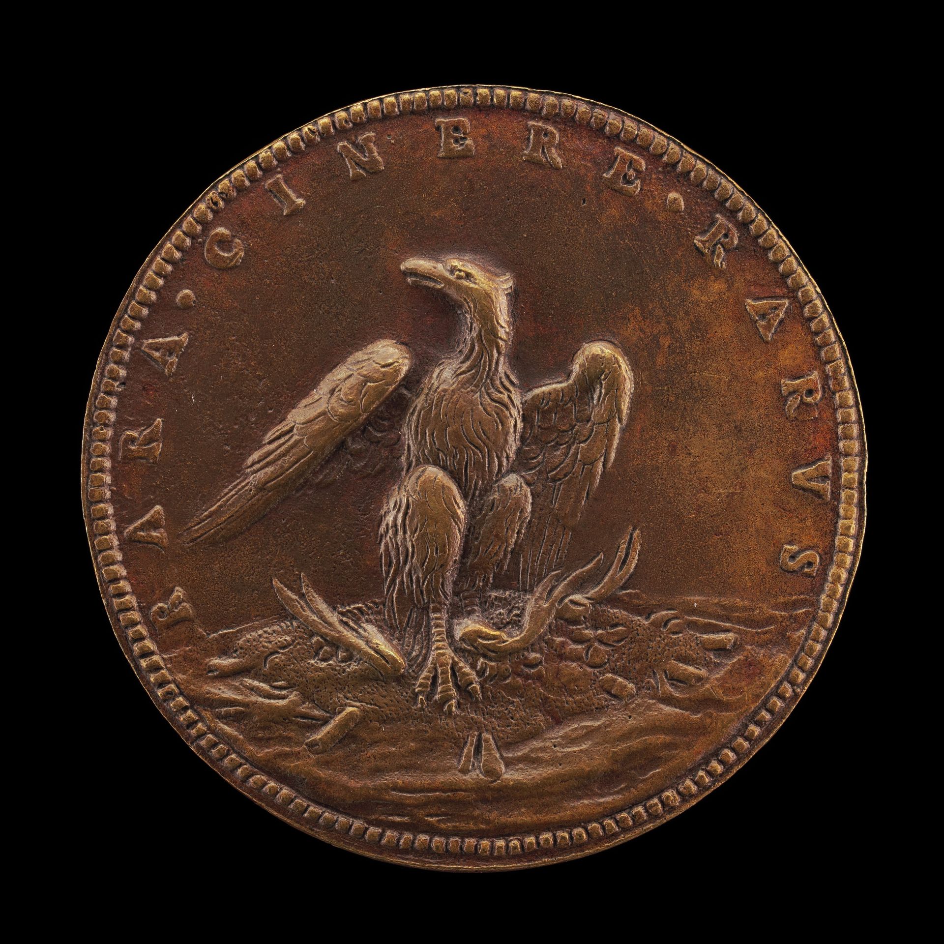 Phoenix [reverse] by Guillaume Dupré