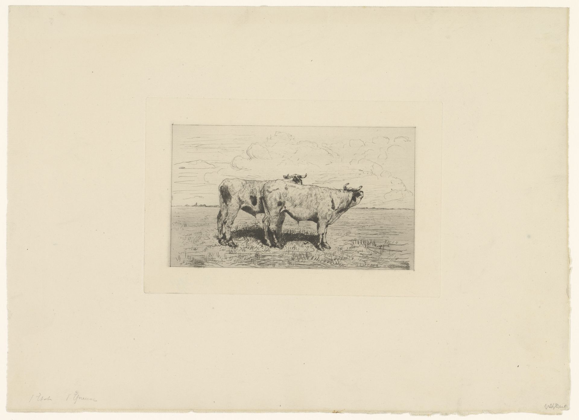 Twee runderen in een landschap by Alfred Verwee